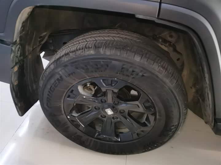 Фото 26 - Tank 300