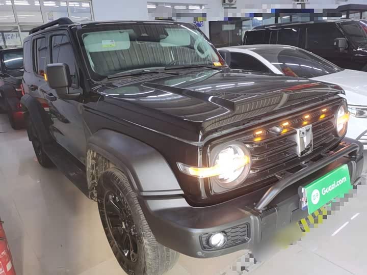 Фото 4 - Tank 300