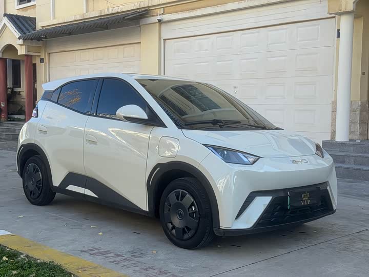 Фото 2 - BYD Seagull