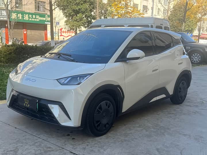 Фото 3 - BYD Seagull