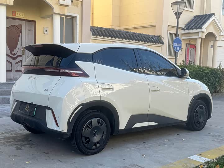 Фото 4 - BYD Seagull