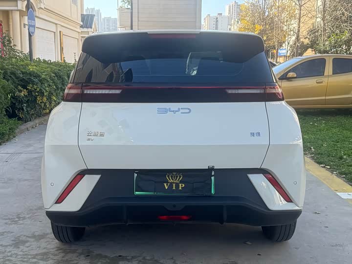 Фото 6 - BYD Seagull