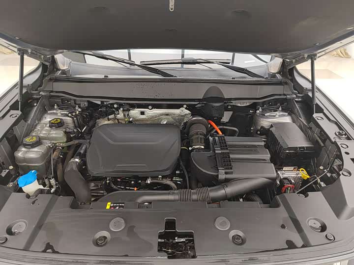 Фото 14 - Haval H-Dog Hybrid