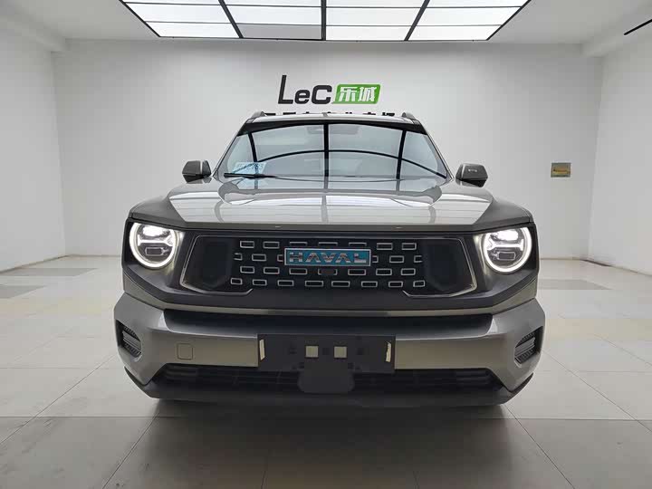 Фото 2 - Haval H-Dog Hybrid