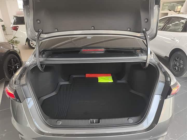 Фото 19 - Geely Binrui