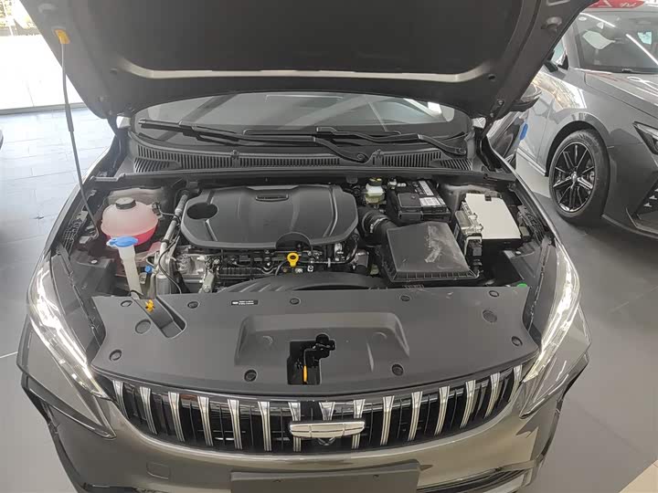 Фото 20 - Geely Binrui