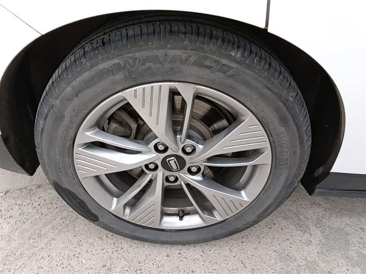 Фото 25 - Bestune NAT