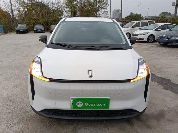 Фото 3 - Bestune NAT