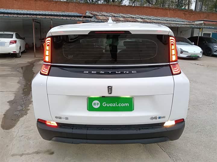 Фото 6 - Bestune NAT