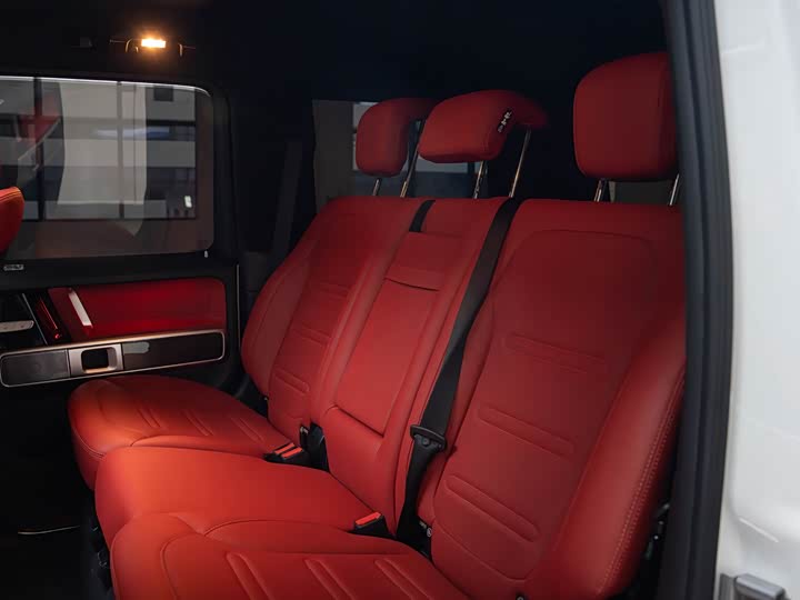 Фото 16 - Mercedes-Benz G-Class