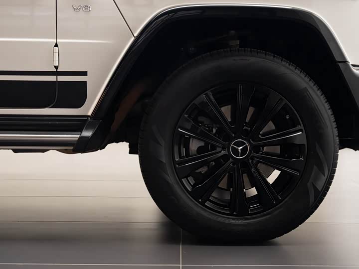 Фото 22 - Mercedes-Benz G-Class