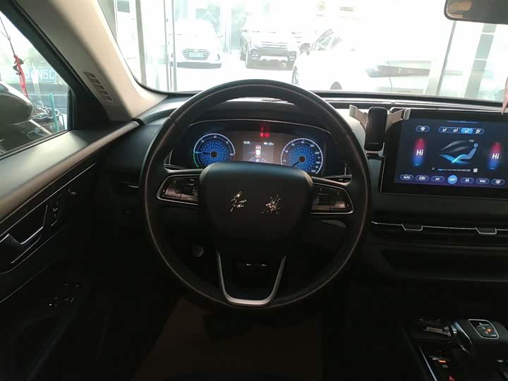 Фото 11 - Hongqi E-QM5