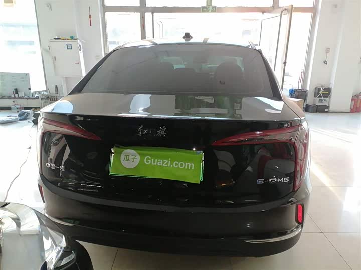 Фото 6 - Hongqi E-QM5