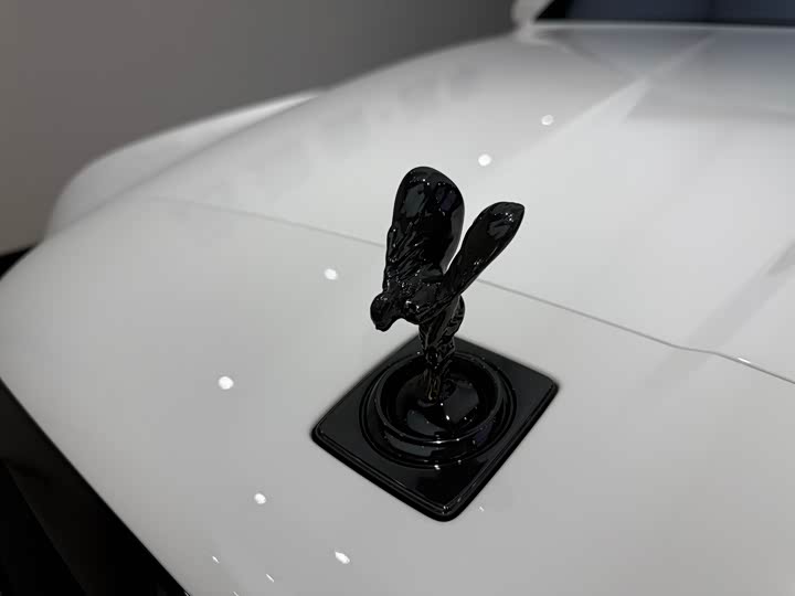 Фото 12 - Rolls-Royce Cullinan