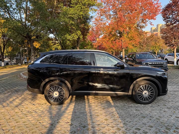 Фото 18 - Chery Tiggo 8L