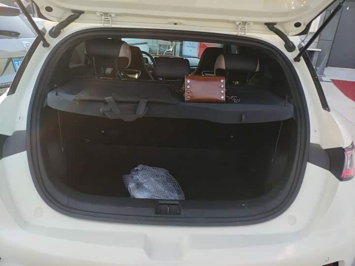 Фото 19 - BYD Dolphin