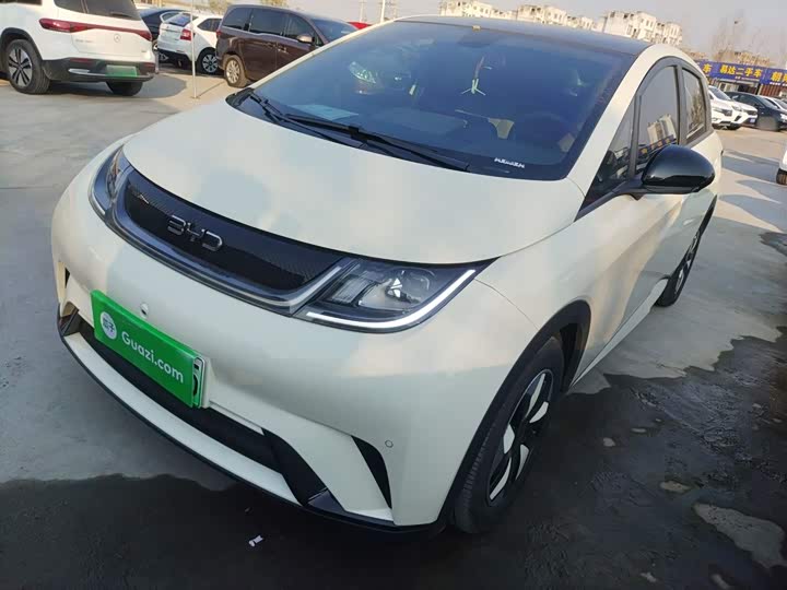 Фото 2 - BYD Dolphin