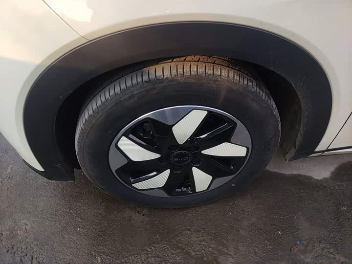 Фото 23 - BYD Dolphin