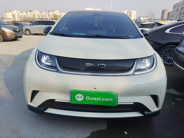 Фото 3 - BYD Dolphin