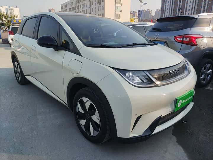 Фото 4 - BYD Dolphin