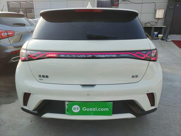 Фото 6 - BYD Dolphin