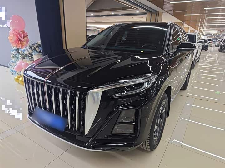Фото 2 - Hongqi HS3