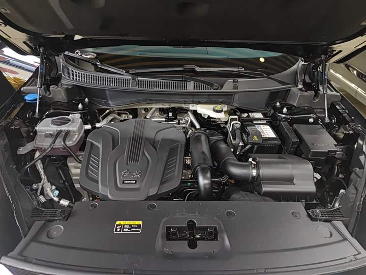 Фото 20 - Hongqi HS3