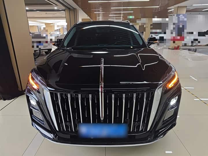 Фото 3 - Hongqi HS3