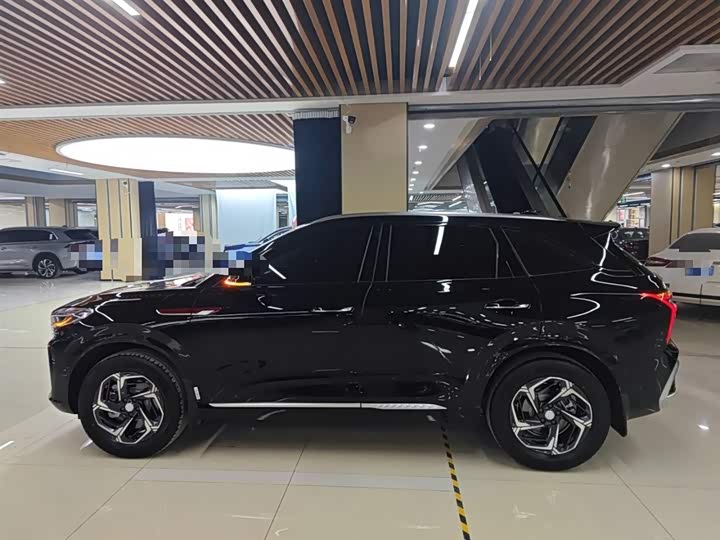 Фото 5 - Hongqi HS3