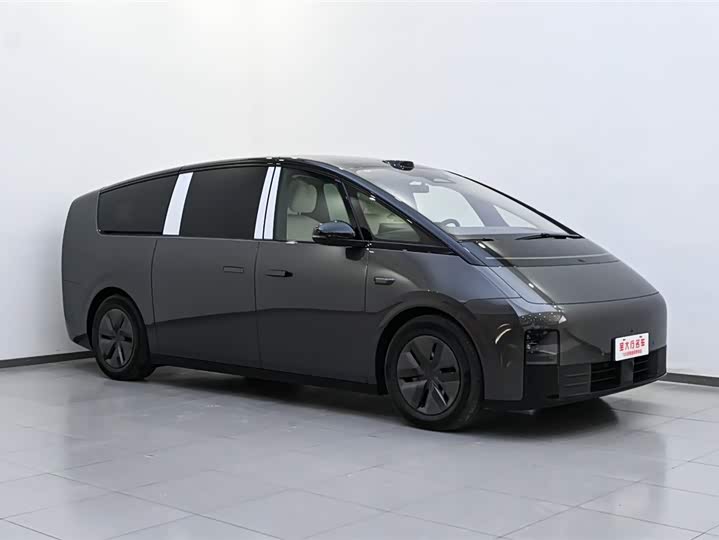 Фото 4 - LiXiang Mega