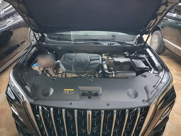 Фото 20 - Hongqi HS5