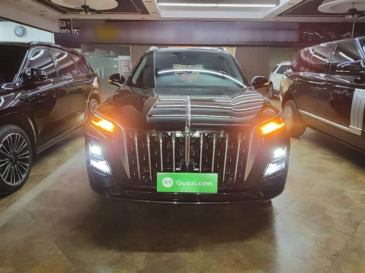 Фото 3 - Hongqi HS5