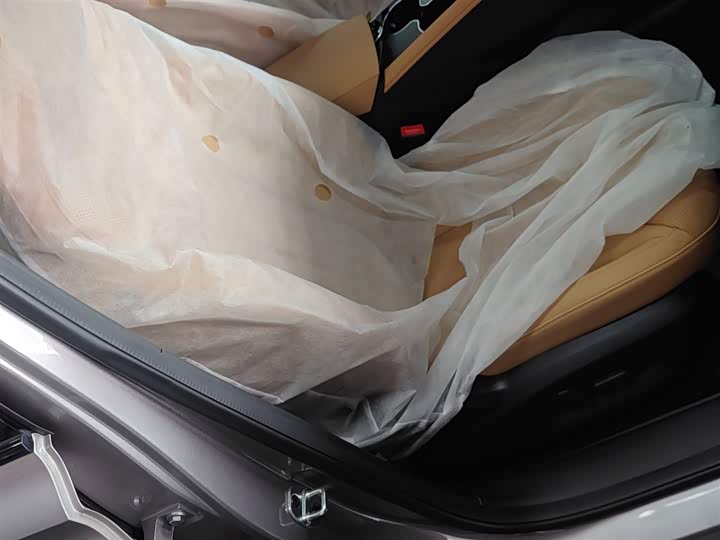 Фото 25 - Roewe RX5 Hybrid