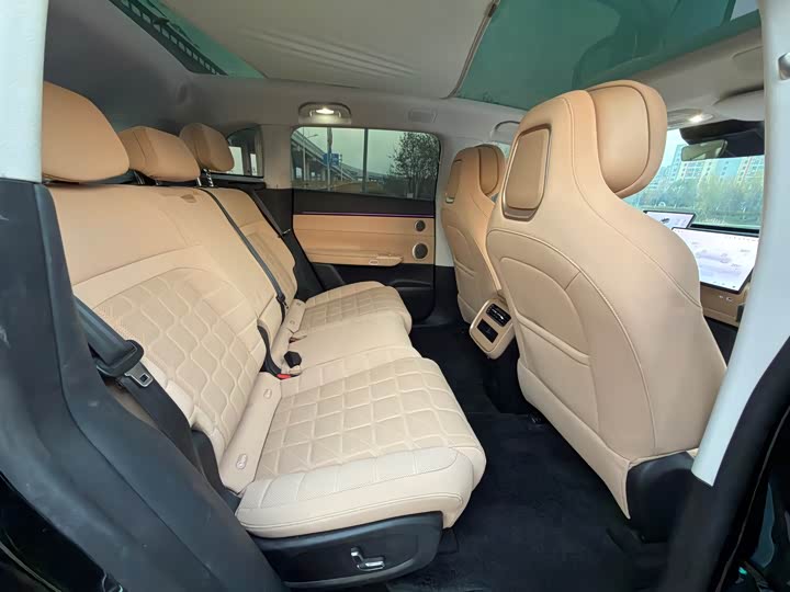 Фото 8 - Exeed Sterra ET