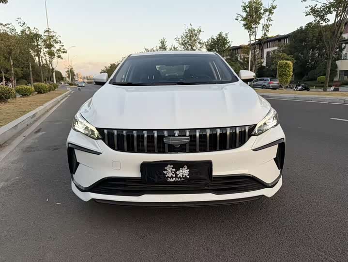 Фото 2 - Geely Binrui
