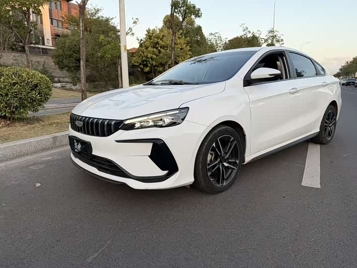 Фото 3 - Geely Binrui