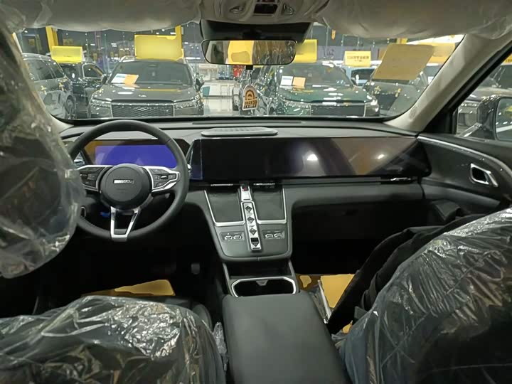 Фото 10 - Haval Ruge Max