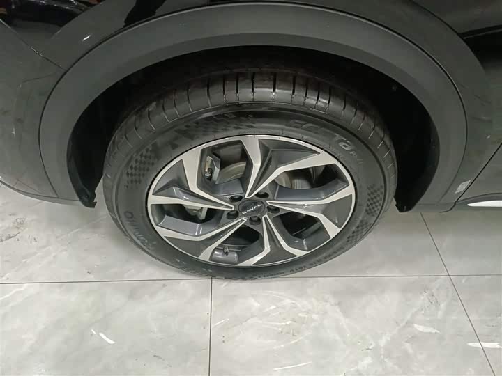 Фото 22 - Haval Ruge Max