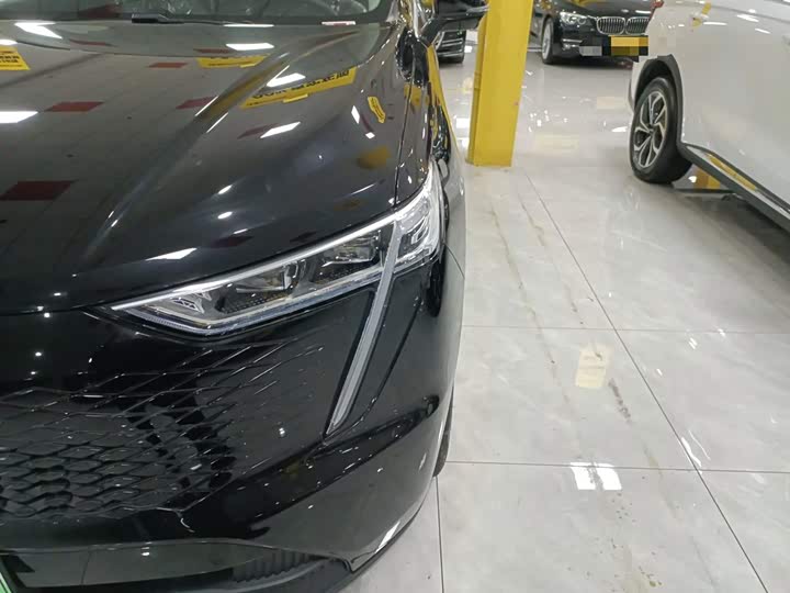 Фото 23 - Haval Ruge Max