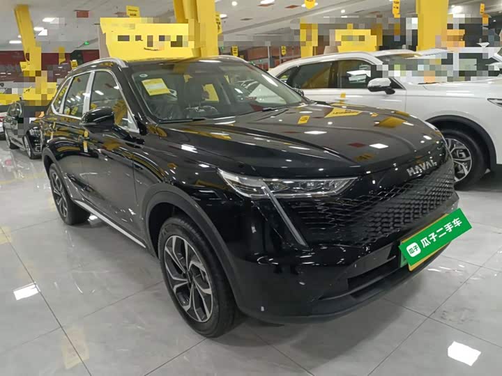 Фото 4 - Haval Ruge Max