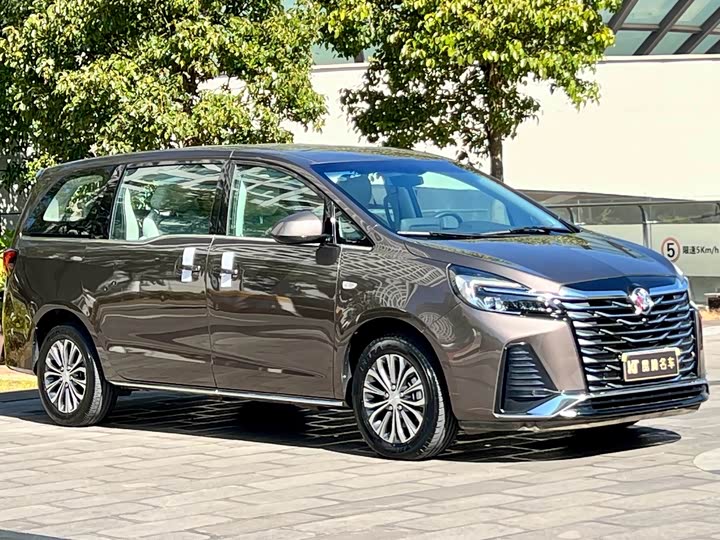 Фото 3 - Buick GL8 ES