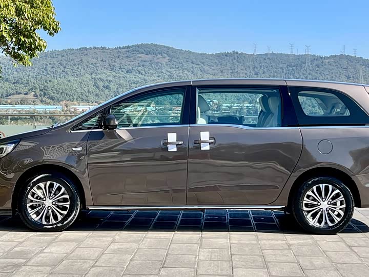 Фото 6 - Buick GL8 ES