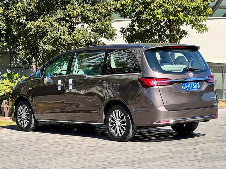 Фото 7 - Buick GL8 ES