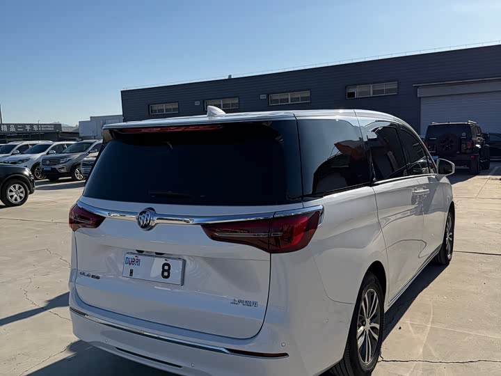 Фото 9 - Buick GL8 ES