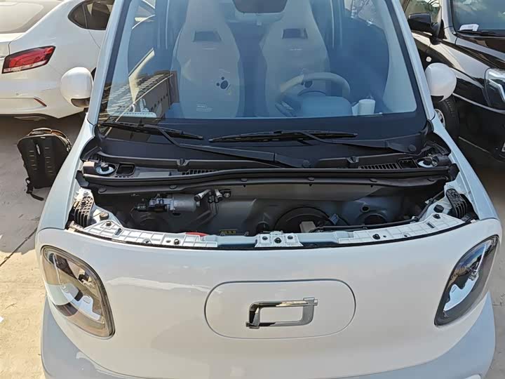 Фото 20 - Bestune Pony