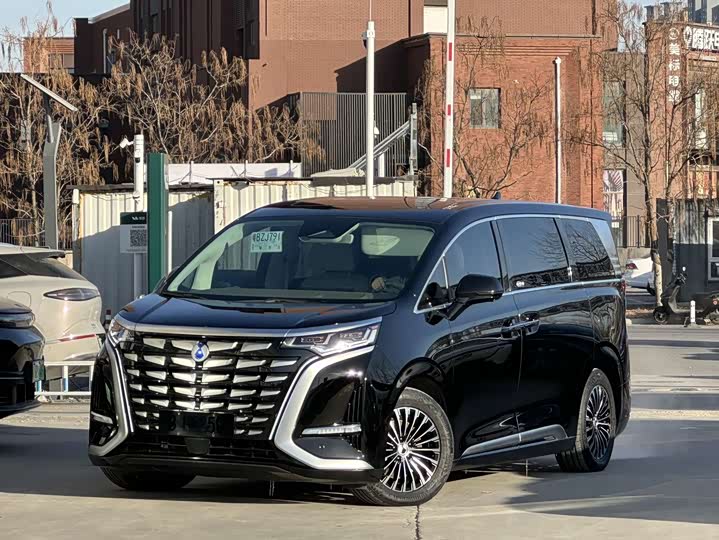 Фото 1 - Denza D9