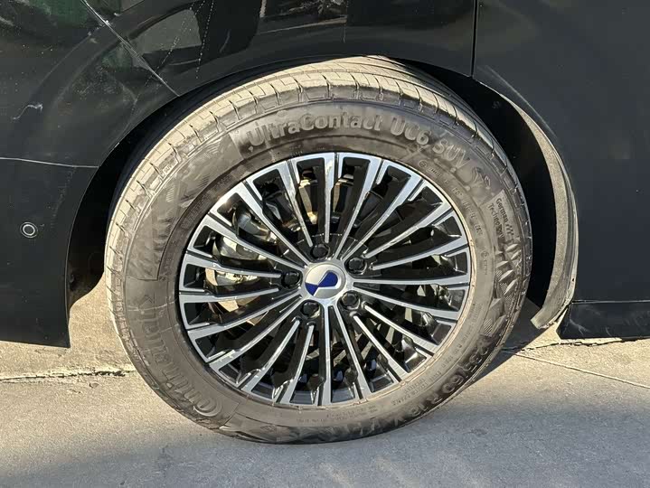 Фото 10 - Denza D9