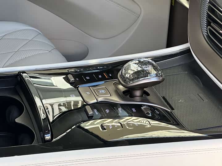 Фото 15 - Denza D9