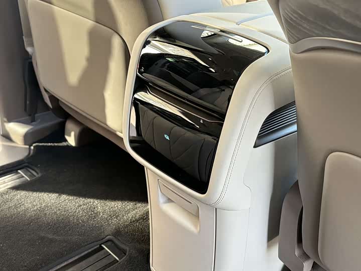 Фото 16 - Denza D9