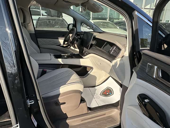 Фото 17 - Denza D9